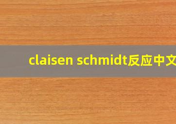 claisen schmidt反应中文